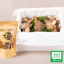 국내산 송화 송고 송화고 송향가 버섯 선물 명품형 500g 1kg 무농약 산지직송 손질버섯, 명품형(선물용) 1kg