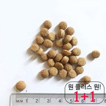 보더콜리 개주식 맛있는 개밥 시바견 비숑프리제 빠삐용 토이푸들 균형영양 10KG 펫밥
