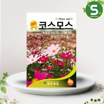 솔림텃밭몰 코스모스씨앗 500립 꽃씨앗 코스모스 꽃씨