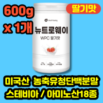 (600g 1개) 맛있는 단백질보충제 WPC 딸기맛 프로틴 유청단백질