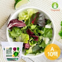데이밀 자연을담은 샐러드 실속A 100g x 10팩 국내산 야채믹스, 흑임자드레싱 10개