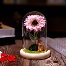졸업선물 입학선물 집들이 선물 해바라기 유리돔 무드등 인테리어 장식 생일 미녀와야수, C