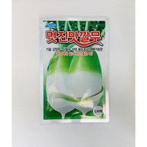 무우종자/멋진맛깔무 2천립 1봉-가을무 김장무 다발무 청수색