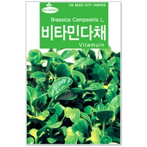 베이비 비타민다채씨앗 3000립 베이비채소씨앗 (C0202)