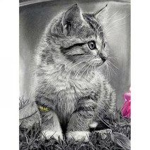 캣츠 베이비 (캔버스) 보석십자수 40x50보석십자수 캔버스형보석십자수 캔버스액자보석십자수 동물보석십자수 고양이보석십자수 케이엠엘리 보석십자수액자 다이, 본상품