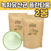 람노서스 퍼멘텀 유산균 영양 그린티 유산균 가루 분말 플락토 추천 50 60 70 대 부모님 장모님 성인 남녀 녹차 간편한 쉐이크 주스 타 마시는 먹는 법 남자 여자 노인 어르신 선물