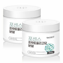 포센스 프락토올리고당분말 사탕수수유산균 PREBIOTICS 식이섬유가루 프리바이오분말 신바이오틱스가루 유산균파우더 유익균유산균 프리바이오 틱스가루 유산균발효 패밀리유산균 틱스유, 250g 2통