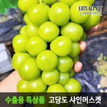 이츠올릿 프리미엄 샤인 머스켓 4수 2kg 특품 김천 상주 영동 씨없는 청포도 머스캣, 4수2kg