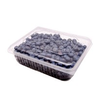 다담아몰 과일포장용기 블루베리 1kg 100개 PET용기 원터치 마트베리포장, 1개