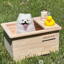 강아지 히노끼 욕조 (중형) 편백 피톤치즈 찐노끼스파, 단품, 단품