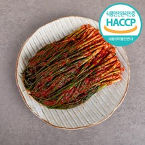[HACCP/전통식품인증]국내산 30년전통 전라도식 파김치, 파김치 1kg