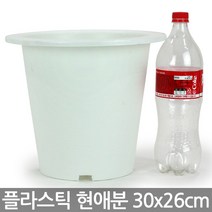 현애분 6~10호 - 화이트 플라스틱 화분 베란다화분 꽃화분 대형화분 플라스틱화분 검정화분 블랙 화이트 흰색 파란화분, 09_한성_현애분 화이트(9호)