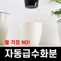 앙플랜트 라운드 화이트 자동급수 화분 9cm 11cm 13cm 16cm 18cm