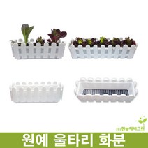 베란다텃밭세트 울타리화분 + 상토 2L 직접 키워 먹는 채소, 울타리화분2호 + 상토2L