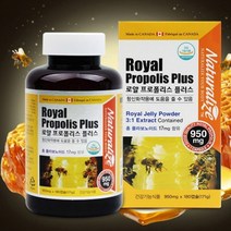 로얄 프로폴리스 플러스 프로폴리스영양제 향산화영양제