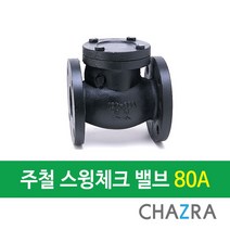 [착불발송]주철 스윙체크밸브 10K (50A ~ 300A), WSC-10