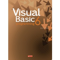 비주얼베이직 프로그래밍 6, 21세기사
