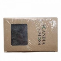 천연이끼 스칸디아모스 블랙(500g) - 공기정화 기능 관리쉽고 그늘에서도 잘 자라는 인테리어 식물 취미 원데이 클래스 디퓨저 화분 만들기(2개 이상 주문배송)