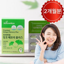 징코메모리 은행잎추출물 혈액 순환 에 좋은 두뇌 기억력 영양제 혈행 개선 도움 뇌 약2개월분