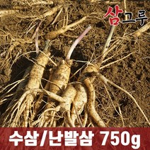 금산인삼 5년근 6년근 수삼 난발삼 원수삼 세척무료 750g 1채, 일반-원삼 믹서 750g 14-18뿌리