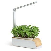 가정용 스마트 식물재배기 탁상용 워터배양기 텃밭