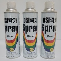 동서 락카 DSI 스프레이 페인트 목재 철판 철재 도색 도장 DIY, 녹색, 1개