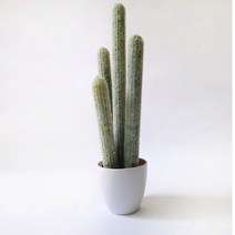 선인장 조화 화분 장식 사무실 인테리어 선물 대형, 화이트58cm