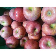청송사과 5kg, 1box, 실속형 10kg(40~49과)