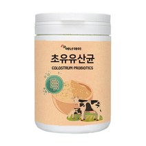 에너데이 초유 유산균 분말 가루 파우더 230g 대두 레시틴 난소화성 덱스트린 함유