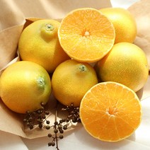 더기분 고당도 제주 황금향 상품 가정용 1kg 3kg 4.5kg, 제주 황금향 중과 1kg