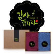 송월 호텔타올 코마사 170g x 2p 수건선물세트 어버이날 돌 칠순 팔순 회사 교회 학교 개업 행사 결혼식 답례품, A세트