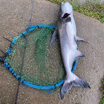 후지 릴 시트 장착 스피닝 로드 빠른 액션 캐스팅 낚싯대 탄소 여행용 DKK-SIC 가이드 링 4 섹션, 06 2.14 Spinning 704MH