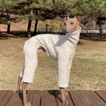 도기스타 이탈리안그레이하운드옷 아이쥐옷 누빔 겨울 올인원, 오트밀