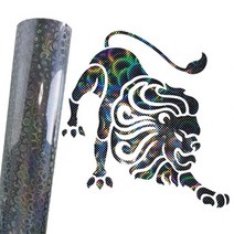 수전사필름 8 장 25cm x 25cm 홀로그램 tpu 전 비닐 티셔츠 디자인 커터 용, 25cmx100cm, 025