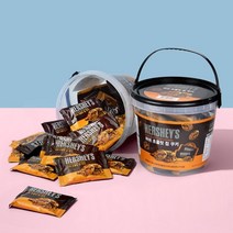 허쉬 초콜릿칩 쿠키 400g (통), 단품