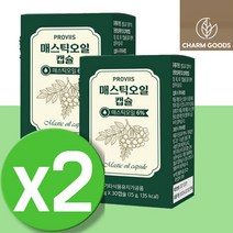 하이매스틱 파우더 위메스틱검 위매스틱 오일 분말 가루 MASTIC 마스틱 메틱스 메스틱 MASTICGUM 2통