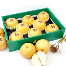 프리미엄 국내산 햇배 7.5kg (7-10과) 1박스 상품 특품, 1개, 햇배7.5kg(7-10과)1박스