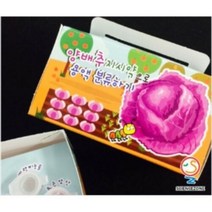 용액분류하기-붉은양배추지시약5인, 단품