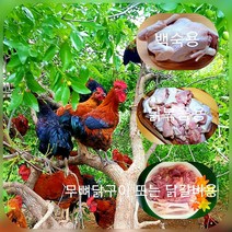 [백숙토종닭] 하림 참 토종닭 백숙용 (냉장), 1100g, 1개