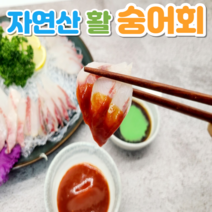 자연산 보리숭어회 숭어회 보리숭어 보리숭어회 숭어회필렛 350g, 숭어회 350g 내외+회초장세트 1팩, 1개