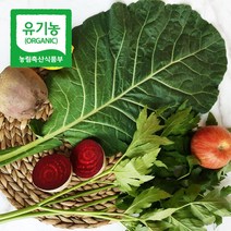 친환경 유기농 케일 즙용 케일 당일수확 산지직송, 유기농 케일 3kg, 1개