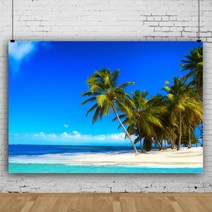 여름 해변 테마 사진 배경 코코넛 나무 천 아이 아기 생일 벽지 스튜디오 촬영, Vinyl300x200cm+BJWY3T6