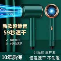 덕계 대출력 학생기숙사 정음 항온 두발 보호 휴대용드라이기, T06-화이트컬러 1500W럭셔리스타일 기숙사