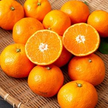 [제주의아침] 해풍맞은 제주 노지감귤 타이벡, 1박스, 10kg 대과(L-2L)