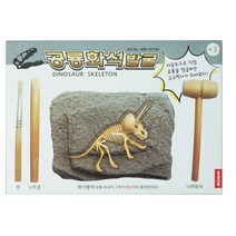 미소로 2500 공룡 화석 발굴키트 2104 156 x 32 x 110 mm, 3개