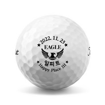 39 이글 기념 골프공 로고 인쇄 소량 제작 (6구), 볼빅 비비드 컬러 6구 혼합컬러, A
