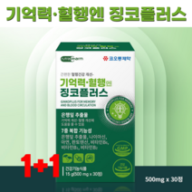 기억력 혈행엔 징코플러스 30정 1+1 (코오롱제약 은행잎 기억력감퇴 부모님영양제), 기억력·혈행엔 징코플러스 30정 1+1