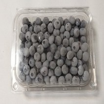냉동 블루베리생과 1kg / 국내산 냉동 생블루베리