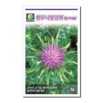 다농 흰무늬엉겅퀴 (밀크씨슬) 2g