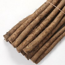 더조은푸드 [서안동농협] 유명산지 우엉 알뜰(차용) 2kg, 1개